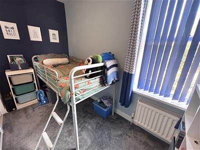Picture 14